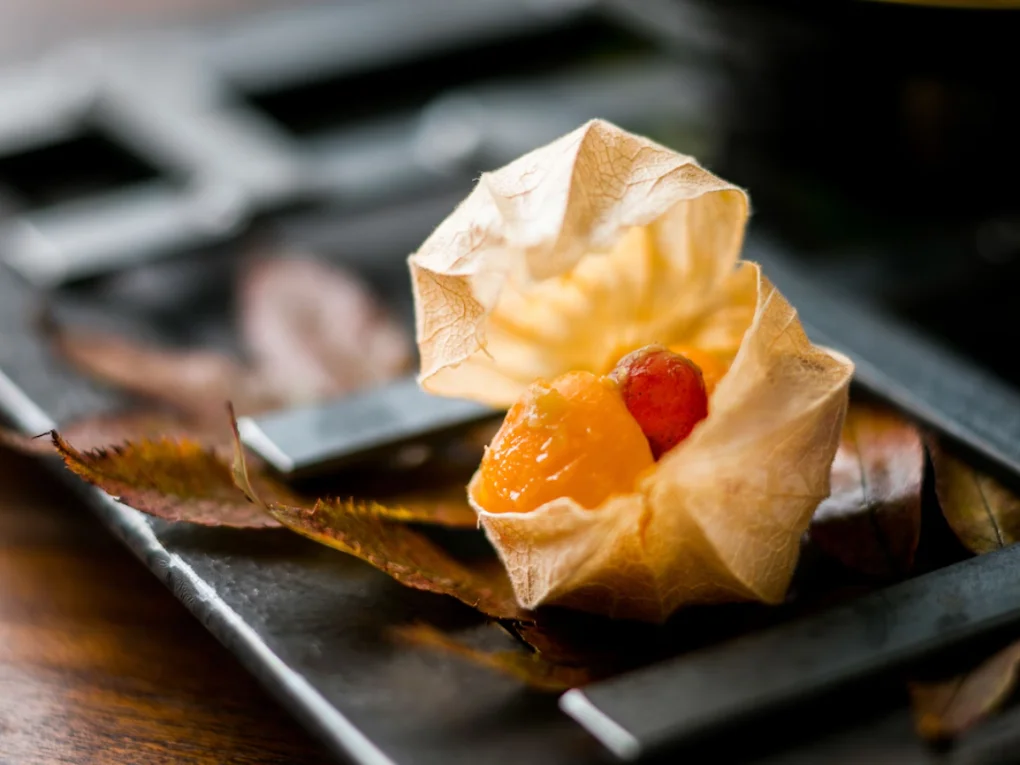 Honeymoon Zaborin Ryokan