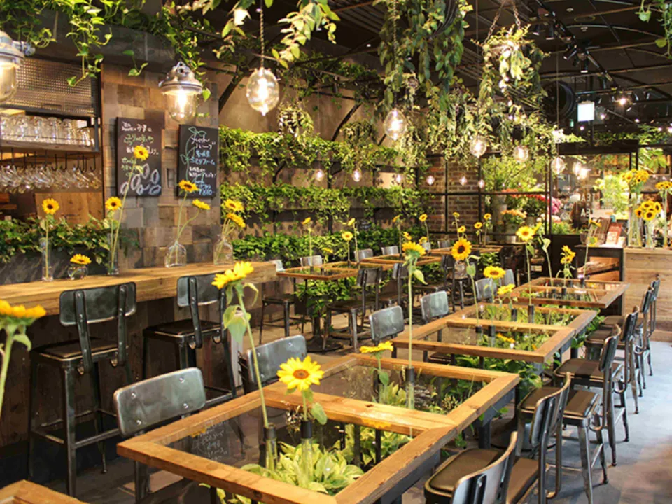 Tokyo Honeymoon - Aoyama