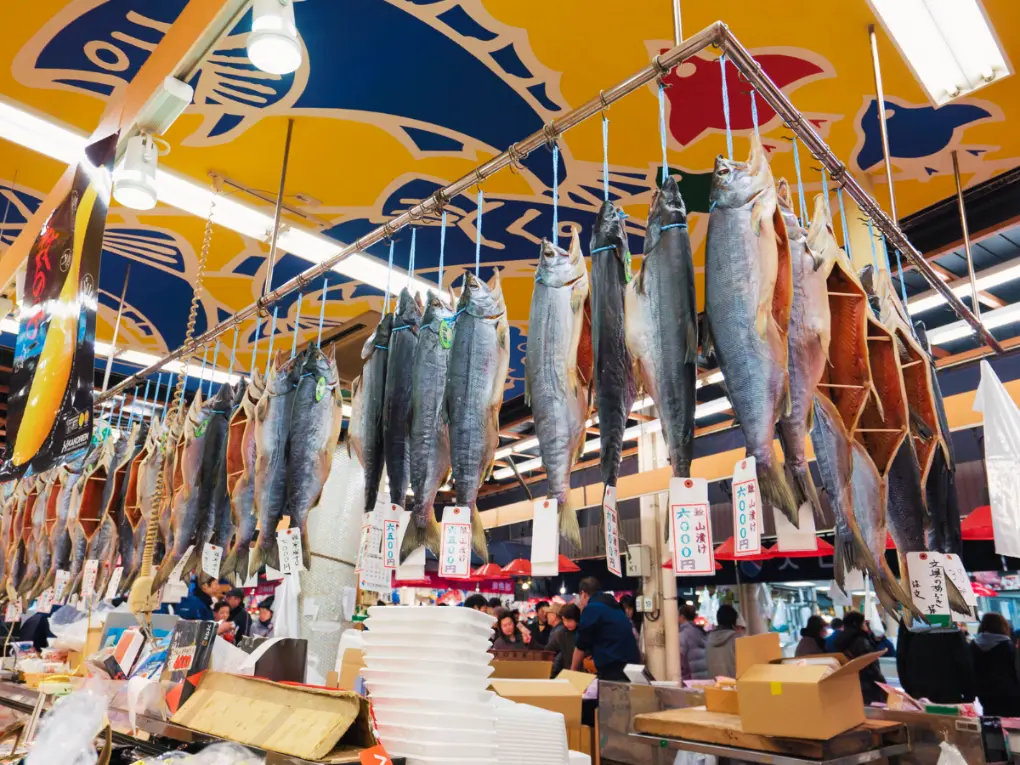 Kanazawa Honeymoon Guide